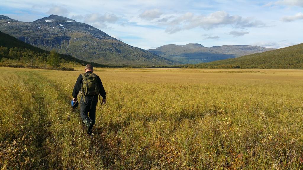 Tennevoll Lapphaugen Turiststasjon 빌라 외부 사진